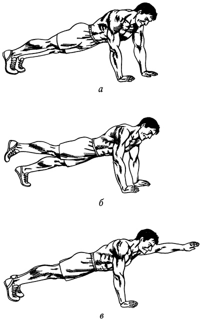 Иллюстрация к книге — Живая пища. Сыроедение: энергетика, психология [i_024.jpg]