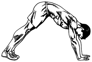 Иллюстрация к книге — Живая пища. Сыроедение: энергетика, психология [i_025.jpg]