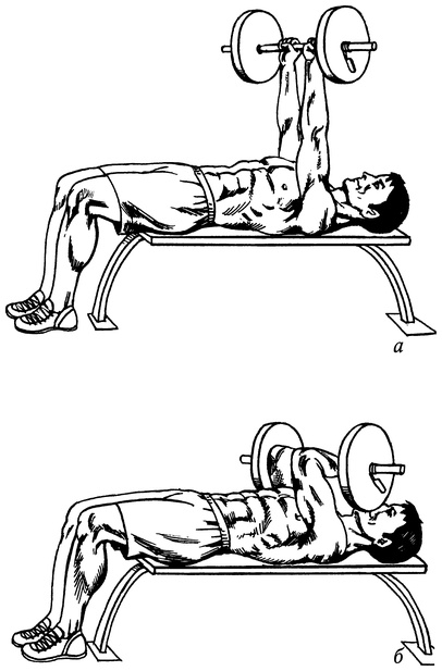 Иллюстрация к книге — Живая пища. Сыроедение: энергетика, психология [i_027.jpg]