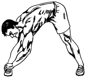 Иллюстрация к книге — Живая пища. Сыроедение: энергетика, психология [i_033.jpg]