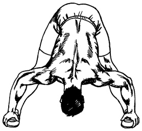 Иллюстрация к книге — Живая пища. Сыроедение: энергетика, психология [i_034.jpg]