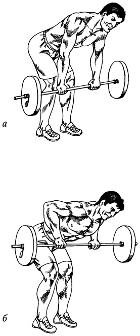 Иллюстрация к книге — Живая пища. Сыроедение: энергетика, психология [i_049.jpg]