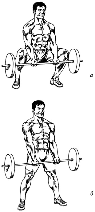 Иллюстрация к книге — Живая пища. Сыроедение: энергетика, психология [i_050.jpg]