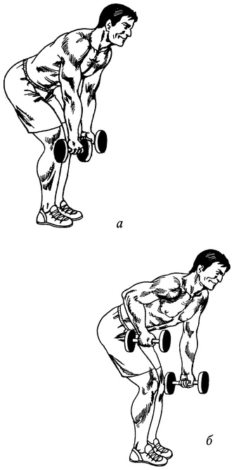 Иллюстрация к книге — Живая пища. Сыроедение: энергетика, психология [i_052.jpg]