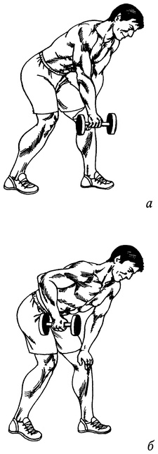 Иллюстрация к книге — Живая пища. Сыроедение: энергетика, психология [i_056.jpg]