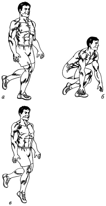 Иллюстрация к книге — Живая пища. Сыроедение: энергетика, психология [i_057.jpg]