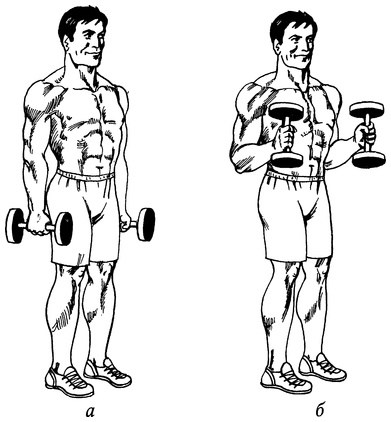 Иллюстрация к книге — Живая пища. Сыроедение: энергетика, психология [i_060.jpg]