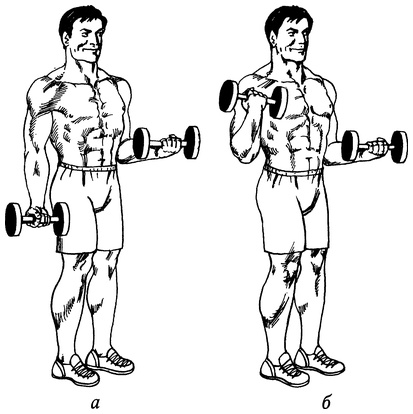 Иллюстрация к книге — Живая пища. Сыроедение: энергетика, психология [i_061.jpg]