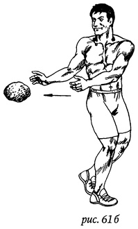 Иллюстрация к книге — Живая пища. Сыроедение: энергетика, психология [i_063.jpg]