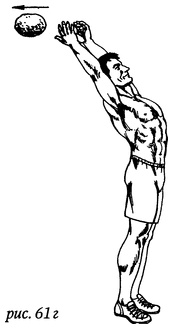 Иллюстрация к книге — Живая пища. Сыроедение: энергетика, психология [i_065.jpg]