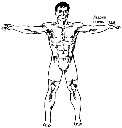 Иллюстрация к книге — Живая пища. Сыроедение: энергетика, психология [i_076.jpg]