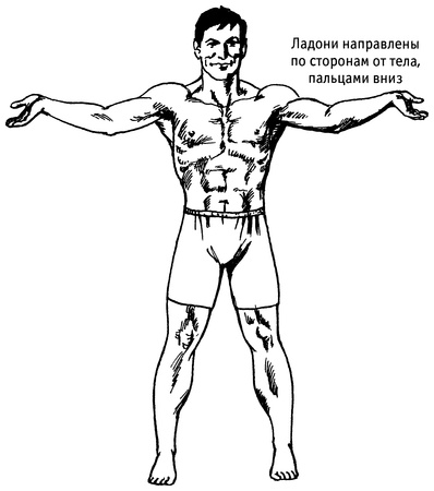 Иллюстрация к книге — Живая пища. Сыроедение: энергетика, психология [i_077.jpg]