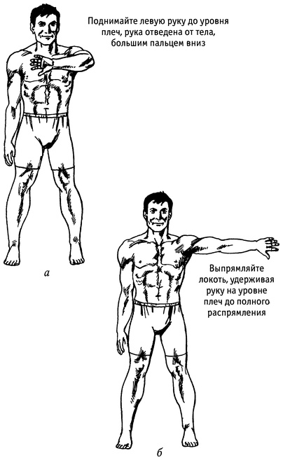 Иллюстрация к книге — Живая пища. Сыроедение: энергетика, психология [i_080.jpg]