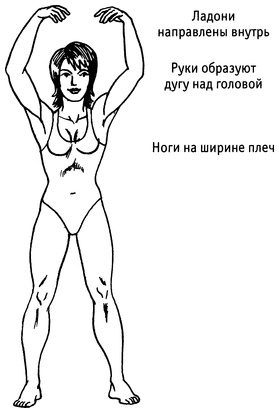 Иллюстрация к книге — Живая пища. Сыроедение: энергетика, психология [i_081.jpg]