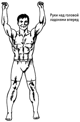 Иллюстрация к книге — Живая пища. Сыроедение: энергетика, психология [i_083.jpg]