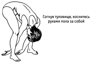 Иллюстрация к книге — Живая пища. Сыроедение: энергетика, психология [i_089.jpg]