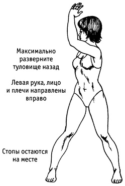 Иллюстрация к книге — Живая пища. Сыроедение: энергетика, психология [i_092.jpg]