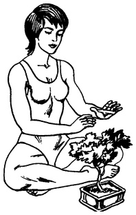 Иллюстрация к книге — Живая пища. Сыроедение: энергетика, психология [i_093.jpg]