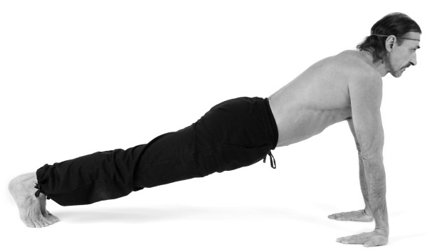 Иллюстрация к книге — Живая пища. Сыроедение: энергетика, психология [i_103.jpg]