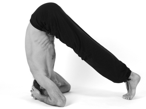 Иллюстрация к книге — Живая пища. Сыроедение: энергетика, психология [i_105.jpg]