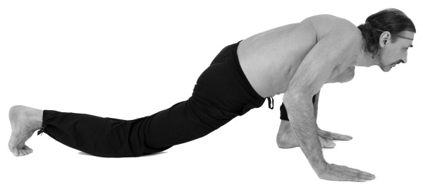 Иллюстрация к книге — Живая пища. Сыроедение: энергетика, психология [i_110.jpg]