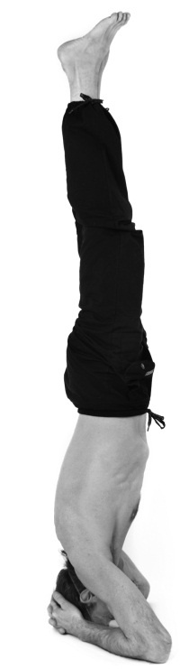 Иллюстрация к книге — Живая пища. Сыроедение: энергетика, психология [i_119.jpg]