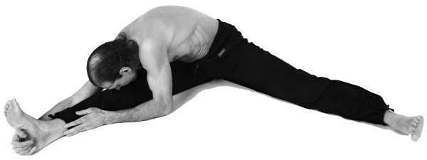 Иллюстрация к книге — Живая пища. Сыроедение: энергетика, психология [i_127.jpg]