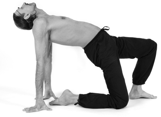 Иллюстрация к книге — Живая пища. Сыроедение: энергетика, психология [i_128.jpg]