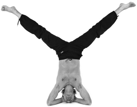 Иллюстрация к книге — Живая пища. Сыроедение: энергетика, психология [i_133.jpg]