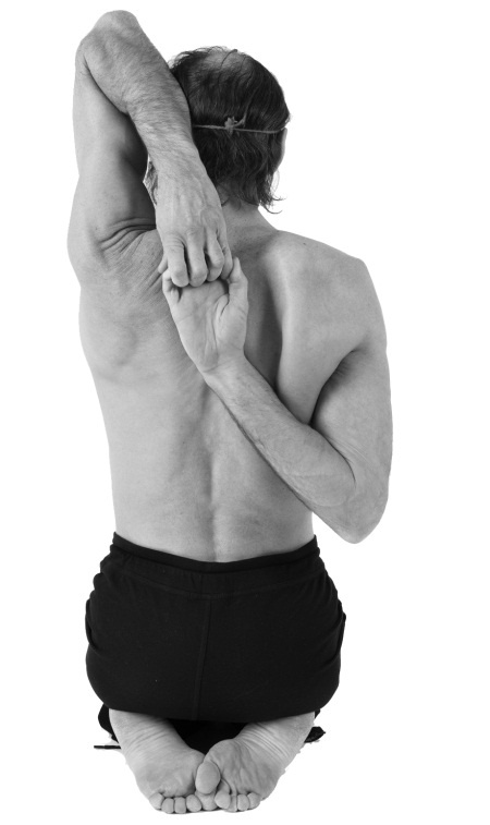 Иллюстрация к книге — Живая пища. Сыроедение: энергетика, психология [i_138.jpg]