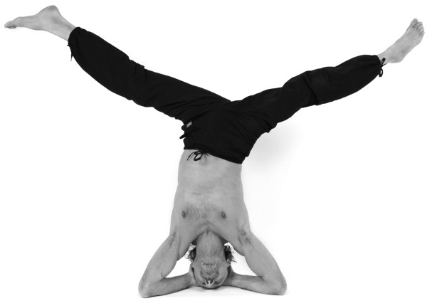 Иллюстрация к книге — Живая пища. Сыроедение: энергетика, психология [i_140.jpg]