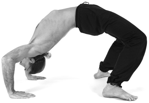 Иллюстрация к книге — Живая пища. Сыроедение: энергетика, психология [i_142.jpg]