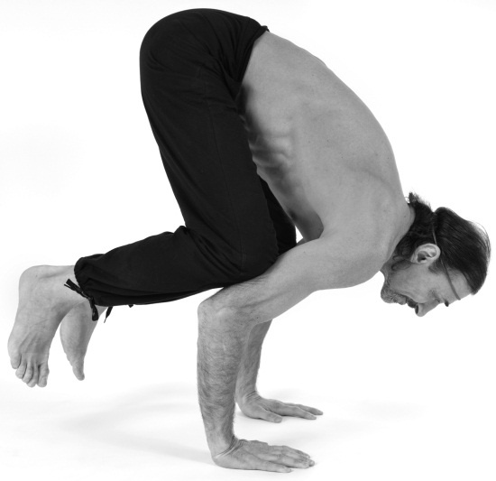 Иллюстрация к книге — Живая пища. Сыроедение: энергетика, психология [i_144.jpg]