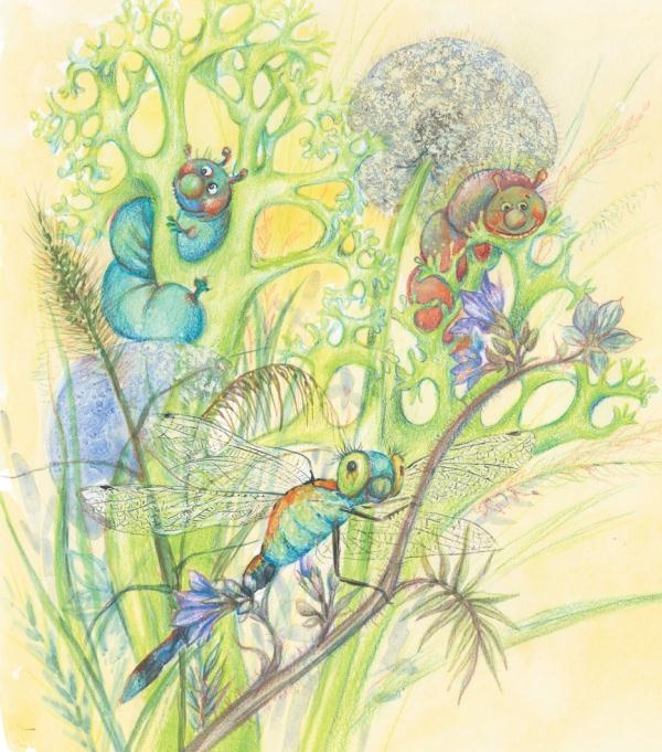 Иллюстрация к книге — Тайна гранатовых зерен [i_001.jpg]