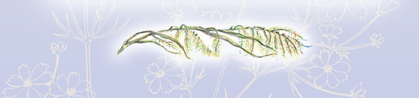 Иллюстрация к книге — Тайна гранатовых зерен [i_017.jpg]