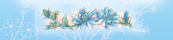 Иллюстрация к книге — Тайна гранатовых зерен [i_023.jpg]