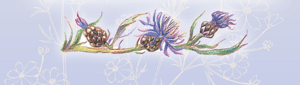 Иллюстрация к книге — Тайна гранатовых зерен [i_030.jpg]