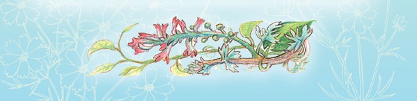 Иллюстрация к книге — Тайна гранатовых зерен [i_035.jpg]