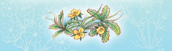 Иллюстрация к книге — Тайна гранатовых зерен [i_050.jpg]