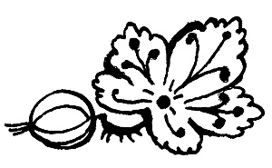 Иллюстрация к книге — Малахитовая шкатулка [i_028.jpg]