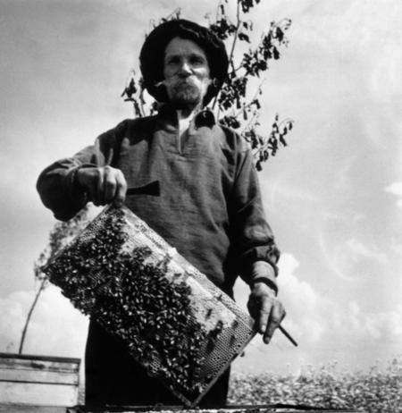 Иллюстрация к книге — Русский дневник [i_021.jpg]