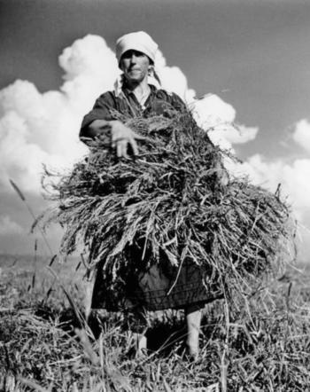 Иллюстрация к книге — Русский дневник [i_031.jpg]