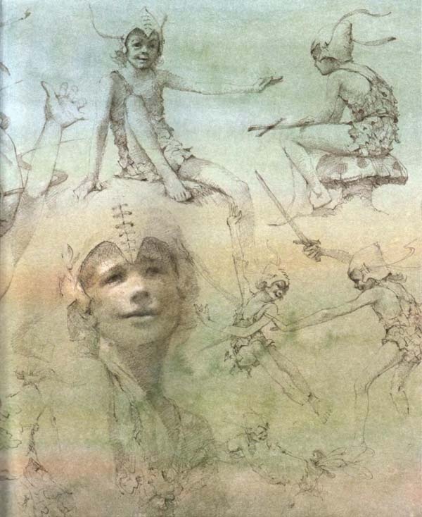 Иллюстрация к книге — Питер Пэн и Венди [i_002.jpg]