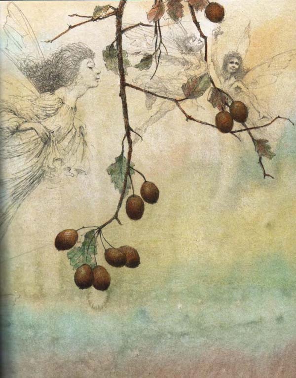 Иллюстрация к книге — Питер Пэн и Венди [i_018.jpg]