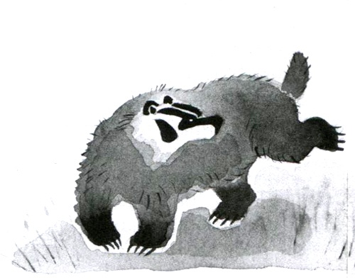 Иллюстрация к книге — Барсук с нашего двора [i_008.jpg]