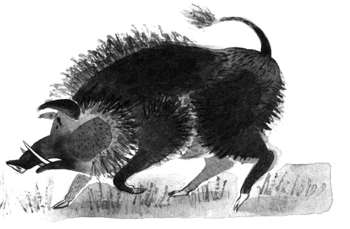 Иллюстрация к книге — Барсук с нашего двора [i_009.jpg]