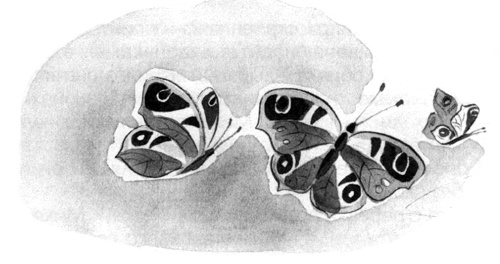 Иллюстрация к книге — Барсук с нашего двора [i_014.jpg]