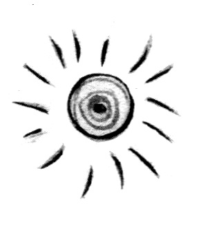 Иллюстрация к книге — Барсук с нашего двора [i_019.jpg]