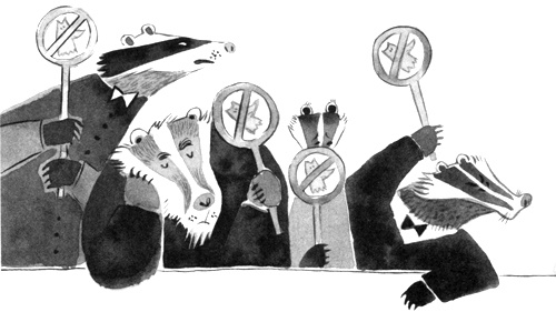 Иллюстрация к книге — Барсук с нашего двора [i_024.jpg]