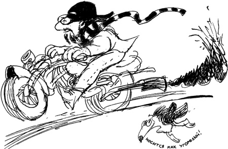 Иллюстрация к книге — Мудрый Исправитель Недостатков [img08.jpg]